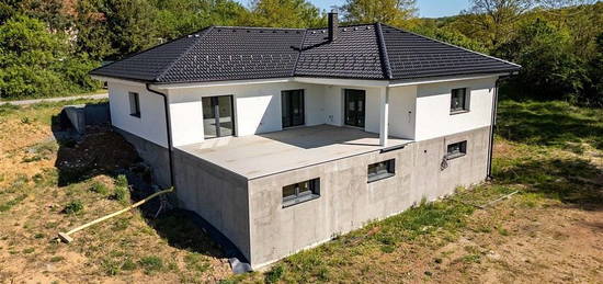 Prodej rodinného domu 288 m2 s garáží a zahradou 1456 m2 - Mirošovice, Praha-východ