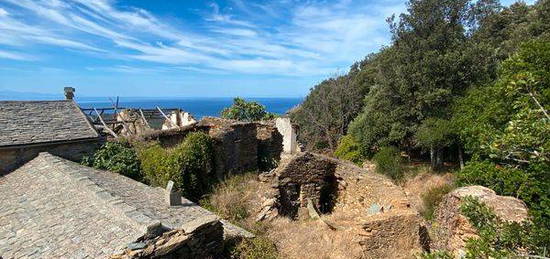 Ruine Cap Corse à restaurer, vue imprenable