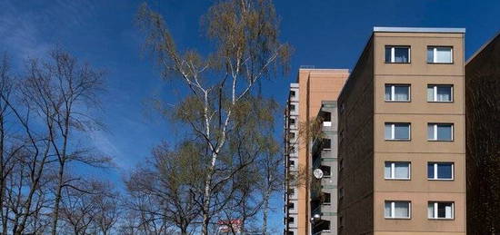 Große Wohnung mit Balkon und Aufzug!