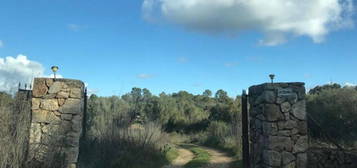 Finca rústica en venta en carretera rotja s/n