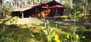 Vends chalet Bois en centre Naturiste