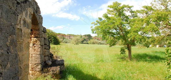 Casale Strada Provinciale Presicce Morciano Gagliano del Capo, Presicce-Acquarica