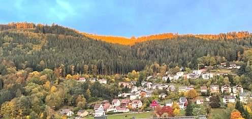 2,5 Zimmerwohnung mit toller Aussicht