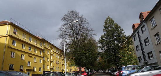 Brno Královo Pole, Hutařova, vybavený pokoj