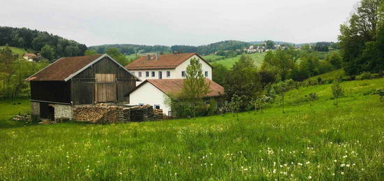 Wohnung in ökologischer Hofgemeinschaft (Pferdehaltung möglich)