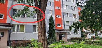 Mieszkanie na sprzedaż, 58 m² Błeszno, Mireckiego