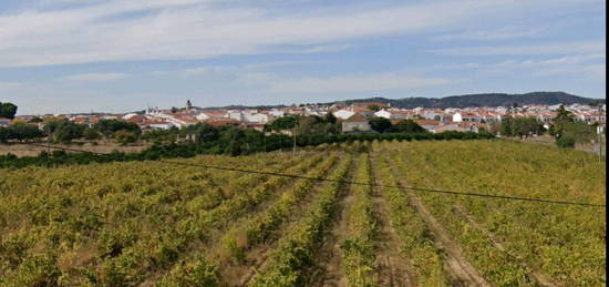 Monte Alentejano | Casa Térrea T3 | Armazém agrícola