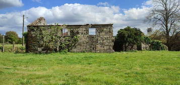 Casa / Villa em Santa Cruz da Trapa e São Cristóvão de Lafões de 220,0