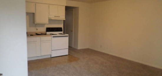 728 W 11th St Unit F, Junction City, KS 66441