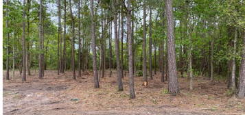 Lot 44 Basswood Dr, Pass Christian, MS 39571