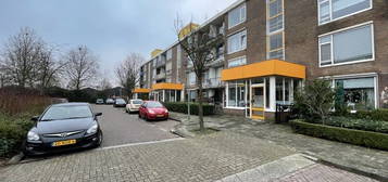 Reitdiepstraat