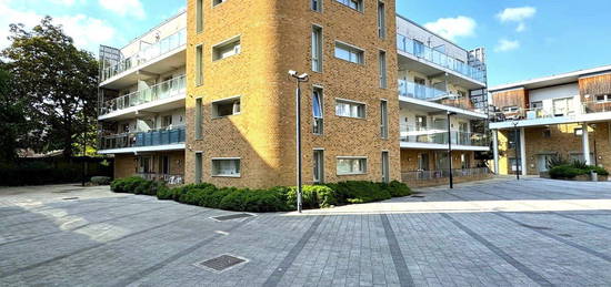 1 bed flat to rent