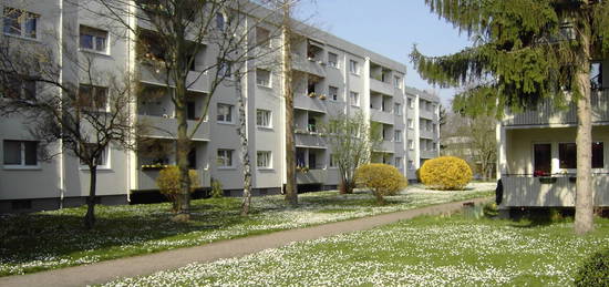 Helle 2-Zimmer-Wohnung in Mannheim-Vogelstang