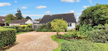 Detached bungalow for sale in Park Road, Barnham, Bognor Regis PO22