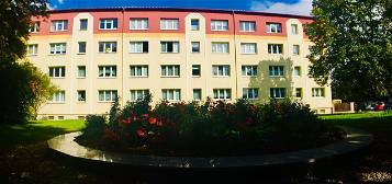 Leben in der grünen Stadt - 2-Raum-Wohnung in Ronneburg