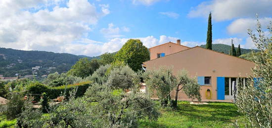 Bastide provençale à deux pas du village de Figanières