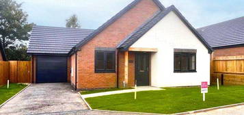 3 bed bungalow to rent