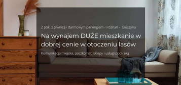 OD ZARAZ! 2pok. Piwnica, Parking, Poznań – Głuszyn