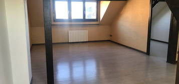 Beau F3 de 44 m² en duplex - STRASBOURG