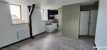 Appartement 50 M2 rénové