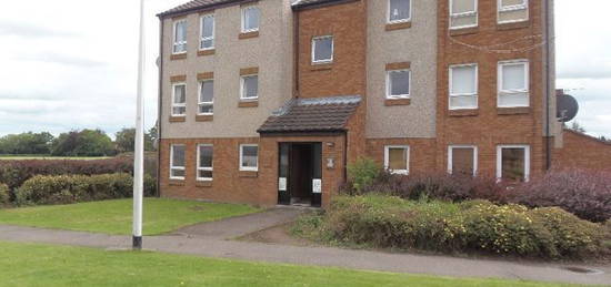 1 bed flat to rent