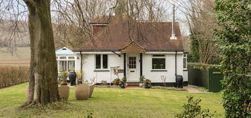 Detached house to rent in Denbies Drive, Dorking RH5