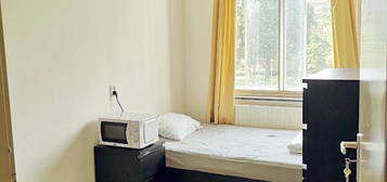 Room in Amsterdam 700 eur (See description!)