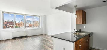 229 Chrystie St Unit 508B, New York, NY 10002