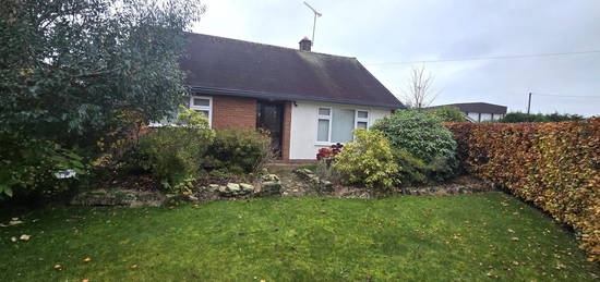 Detached bungalow to rent in Maer Lane, Market Drayton, Shropshire TF9