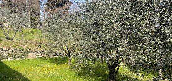 Casa indipendente in affitto in via Oglio s.n.c