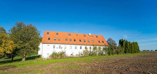 Attraktives Renditeobjekt: Historischer 3-Seitenhof mit 15 Wohneinheiten in Nobitz/Dippelsdorf