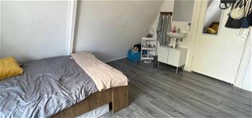 Room in the city center for rent