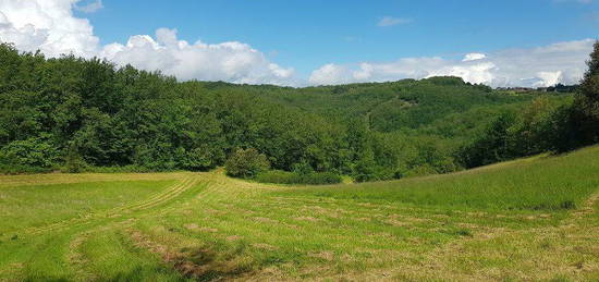 Propriété de 24 hectares avec 2 maisons