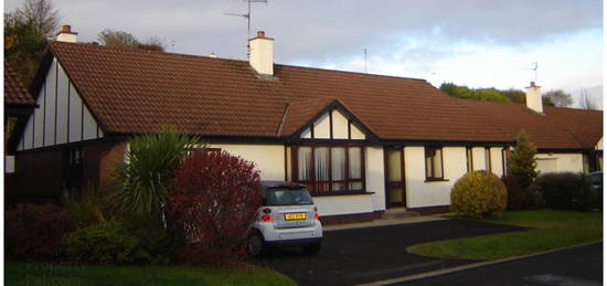 The Beeches, Drumahoe, Londonderry, BT47 3XS