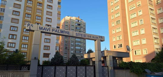 HACIKAYMAK PALMYE ST 4+1 KRALIK GEN ARA KAT DARE