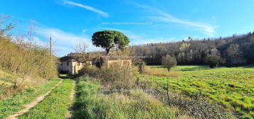 Proprietà rustica in vendita a Castelnuovo d'Elsa