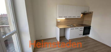 Pronájem bytu 1+1 36 m²