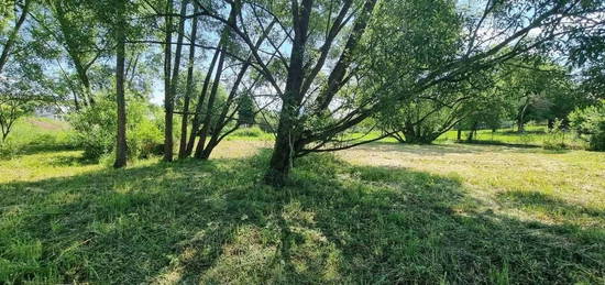 Predaj Rodinný dom Bitarová s  veľkým pozemkom