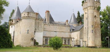 Château médiéval avec de très nombreuses dépendances , sur parc de 27 Hectares, au coeur de la France, dans la région du Berry.