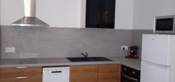 Appartement t2 entierement renove avec petite cours