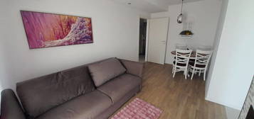 Apartament tip studio de inchiriat in Cosmopolis