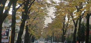 Trilocale via Giovanni Giuseppe Cappellari, Viale Trieste - Villaggio dei Fiori, Vicenza