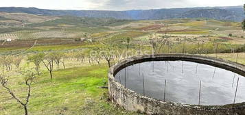 Magnifica e produtiva quinta com mais de 7 hectares em Freixo de Es...