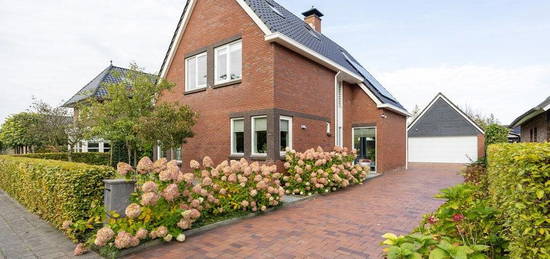 De Koppel Paarden 33