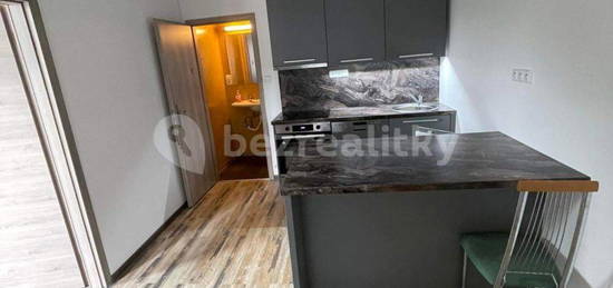 Pronájem bytu 1+kk 28 m², Netolická, Praha