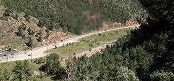 0 Hwy 119, Black Hawk, CO 80422