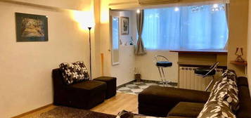 Apartament cu 2 camere, Calea Vacaresti