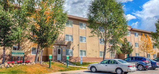 460 W  17th St   #27, Leadville, CO 80461