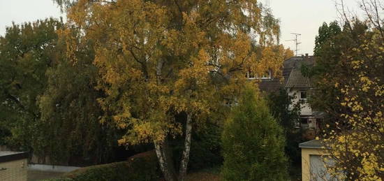 Helle 3 Zi.Wohnung mit Balkon seitlich Biebricher Allee