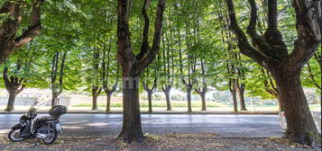 Appartamento viale Carlo del Prete,945, Piazza Napoleone - San Michele, Lucca